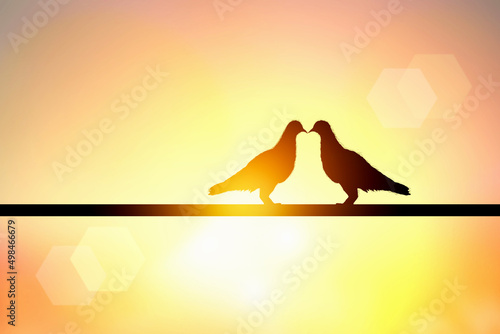 Fototapeta Naklejka Na Ścianę i Meble -  silhouette of lover bird
