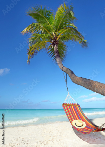 unique palm with hammock at the tropical beach