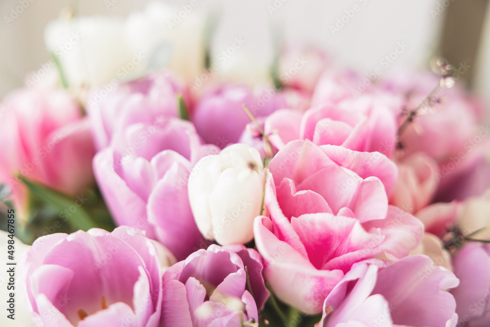 Bouquet of bright colorful tulips. Beautiful pastel pink floral background. Spring flowers.