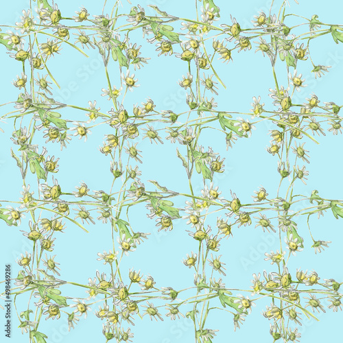 Watercolorseamless pattern with pastel small flowers chamomile drawn by hand. Сellular ornament on a bright blue background.