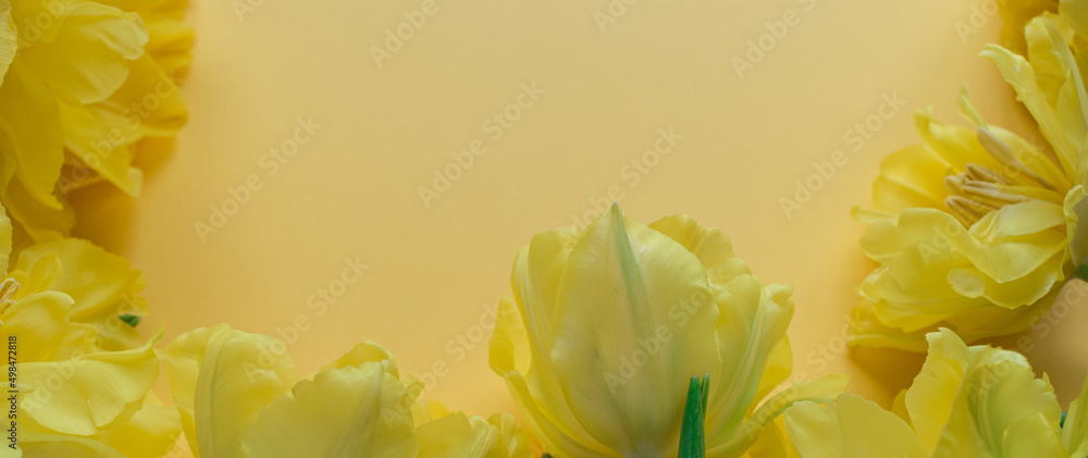 Banner with yellow flowers on a yellow background with space for text. Flower shop. Yellow monochrome. Floral background. Easter background. Spring.