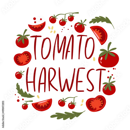 The inscription tomato harvest. A collection of different types of tomatoes. Ingredients for cooking. Vegan print. Vector hand drawn illustration. Frame with vegetables. Vector illustration