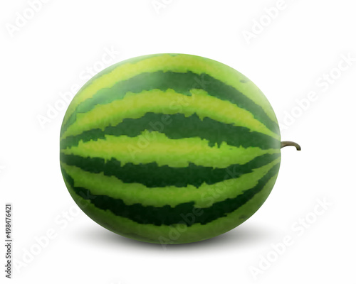 Whole Watermelon Fruit isolated on white background. Fresh delicious watermelon. Realistic 3d Vector illustration. Fresh summer fruit high in minerals and vitamins. Harvested Watermelon.