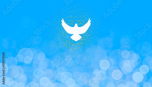 Sfondo azzurro banner con bokeh e colomba bianca. Pasqua. Primavera 