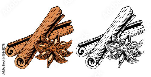 Cinnamon sticks and star anise, isolated on white background. Engraving style vector illustration. photo