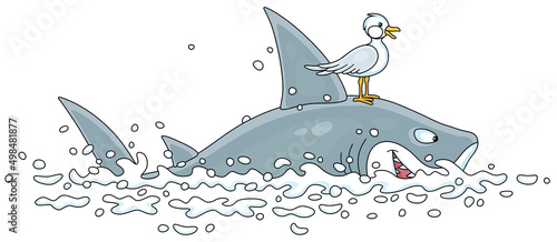 Funny great white shark and a small seagull swimming in open waters of a tropical sea, vector cartoon illustration isolated on a white background