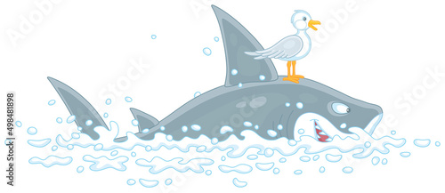 Funny great white shark and...