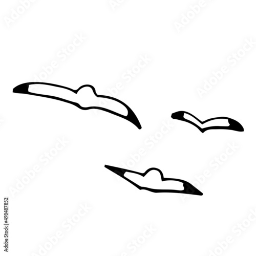 カモメ　手描き　モノクロ