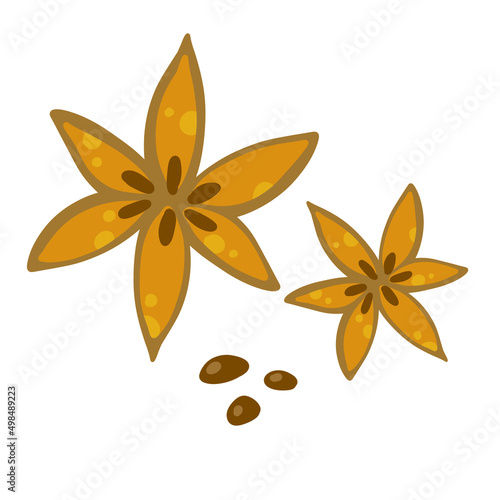 Anise star. Aromatic seasoning. Brown dried food and spice. Flat cartoon isolated on white