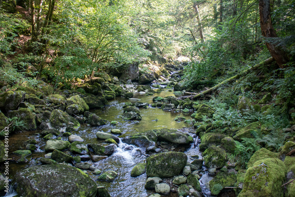 Rustic wild gorge Buchberger Leite in the Bavarian Forest Germany,Europe Rustic wild gorge Buchberger Leite in the Bavarian Forest Germany,Europe