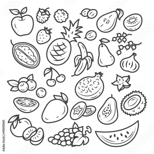A set of illustrations of tropical exotic and garden fruits. Doodles cartoon isolated on a white background. 