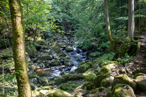 Rustic wild gorge Buchberger Leite in the Bavarian Forest Germany,Europe © 2199_de