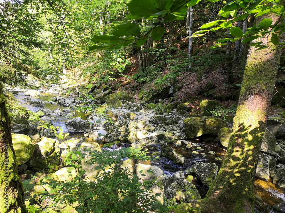 Rustic wild gorge Buchberger Leite in the Bavarian Forest Germany,Europe Rustic wild gorge Buchberger Leite in the Bavarian Forest Germany,Europe