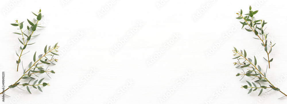 Top view image of eucalyptus over wooden white background. Flat lay Top view image of eucalyptus over wooden white background. Flat lay