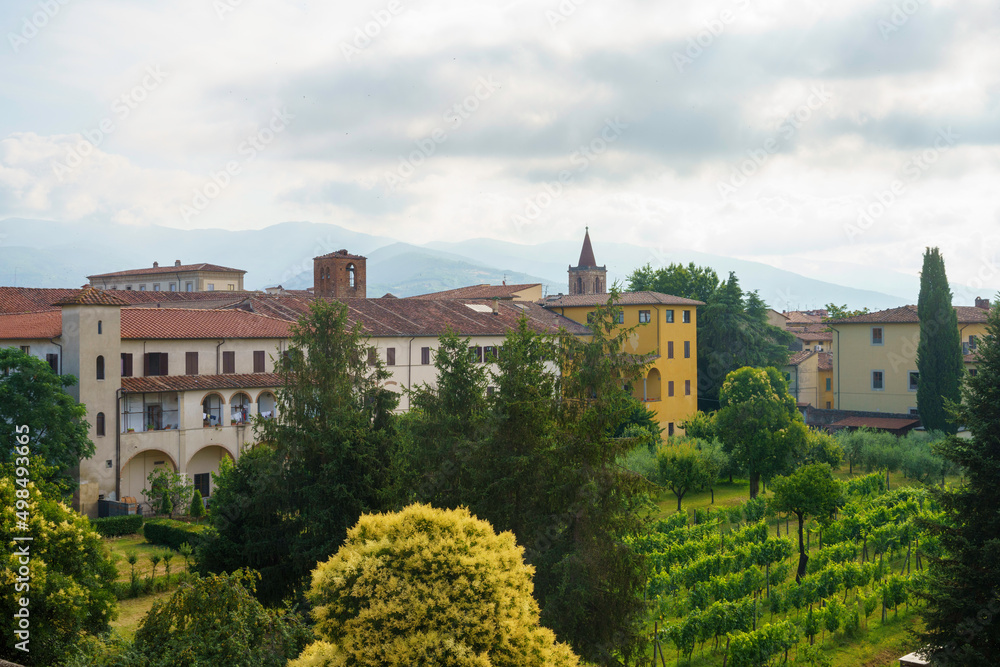 Pistoia, Tuscany: vineyard in the city
