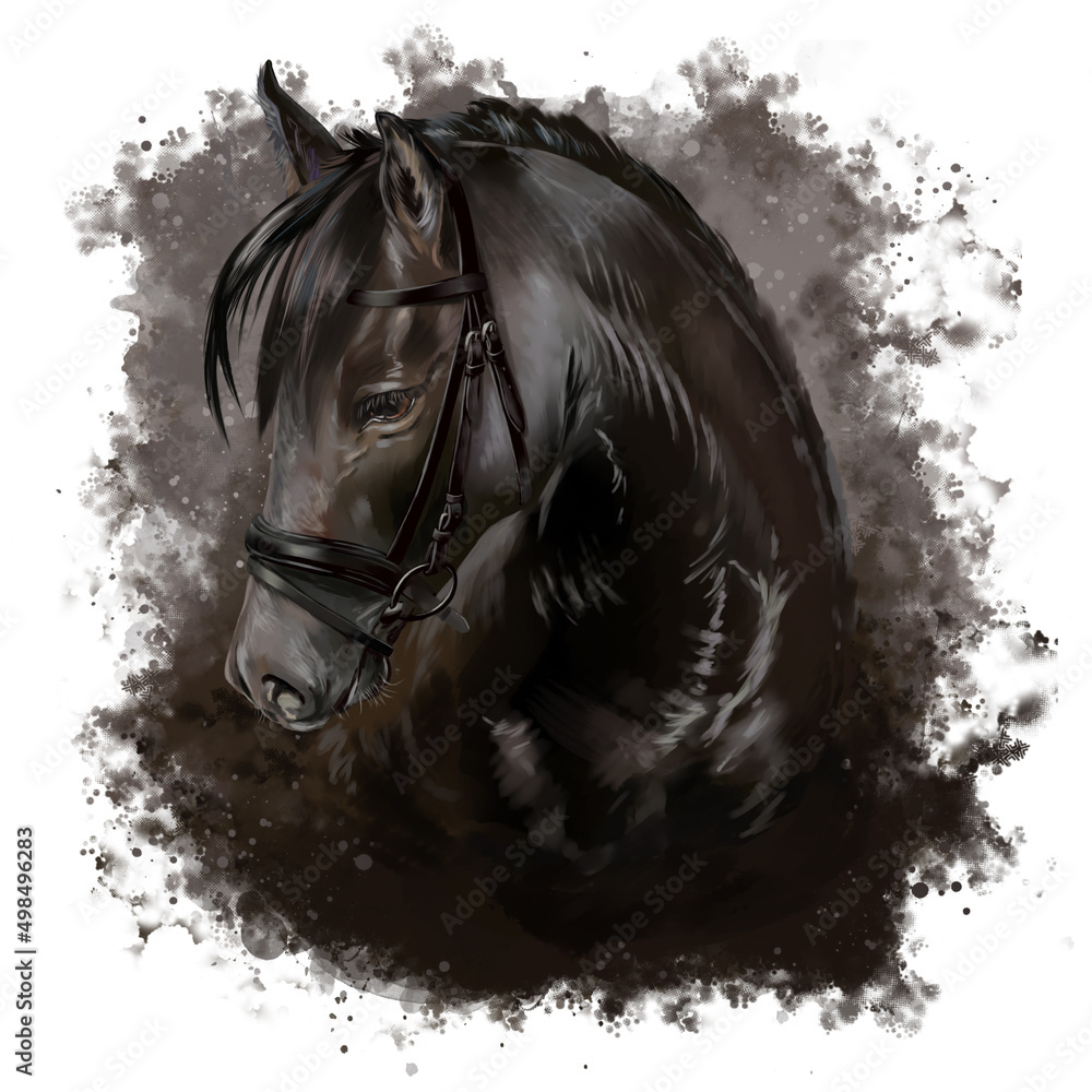 Obraz Horse's head. Grunge style watercolor drawing