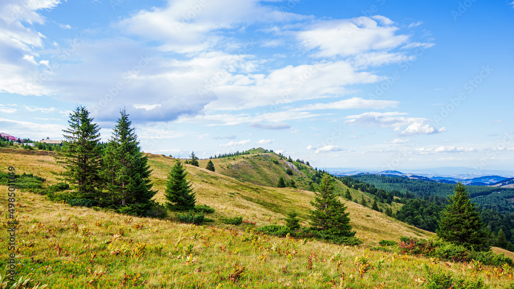 Visually Attractive View of Summer Countryside Mountain Nature Landscape. Picturesque Scenery Green Hills And Fields With Pine Trees. Beautiful Blue Sky With Clouds. Mountain Kopaonik, Serbia, Europe.