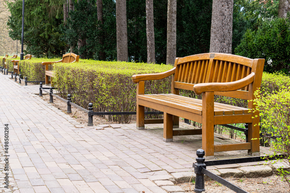 Vintage wooden garden bench in fresh green spring park	