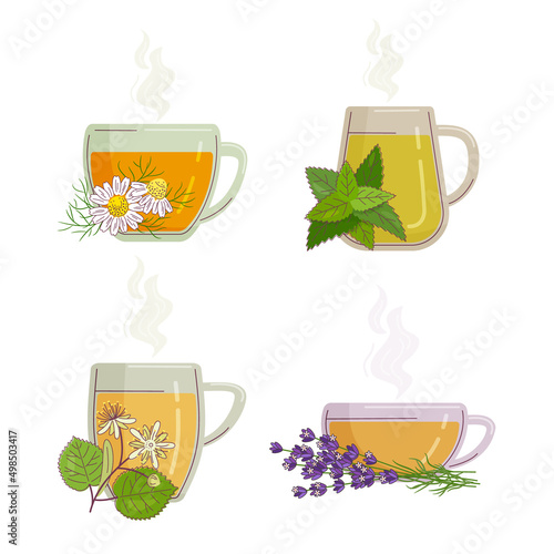 Set of glass cups with herbal sedative tea.  Vector color illustration with line decoration