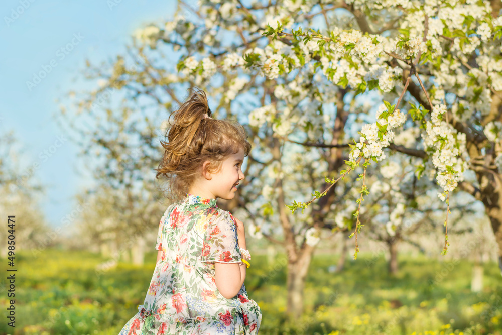 Cute children girl with dress walking on a meadow with blooming cherry tree .Spring time Cute children girl with dress walking on a meadow with blooming cherry tree .Spring time