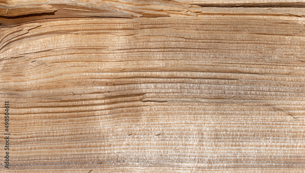 texture of brown wood plank . background of wooden surface
texture of brown wood plank . background of wooden surface