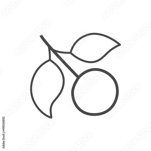 Vector linear icon with cherry berry