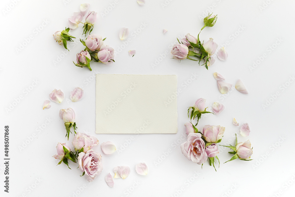 Framework from roses and petals on white background. Flat lay.