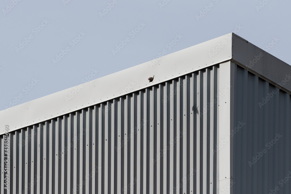 Bird diving off industrial building rooftop