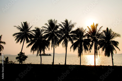 Silhouette of coconut trees in a beautiful evening © STOCK PHOTO 4 U