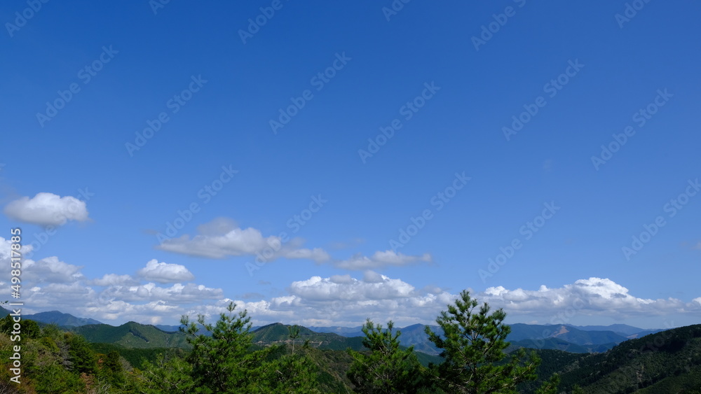 森と空 森と空