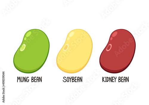 Mung bean, Kidney bean and Soybean on white background. Bean logo design.