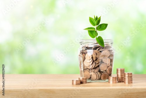 Money coins in glass jar and green plant Fototapet