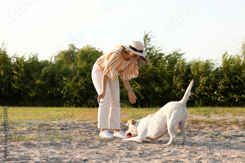 Woman playing with cute Lab...