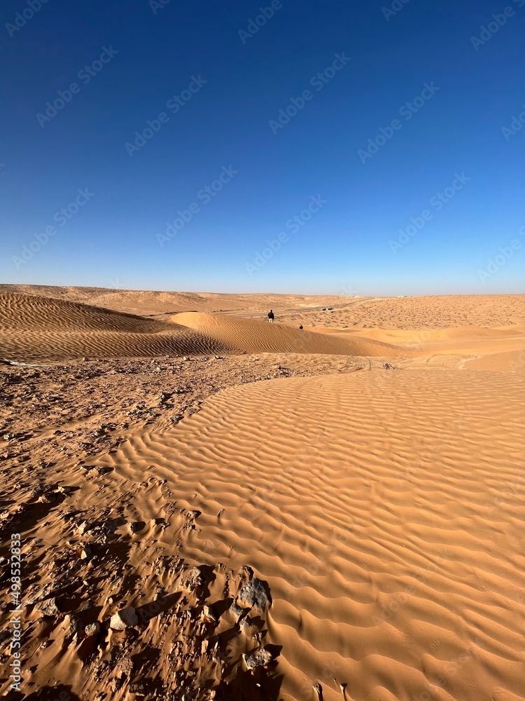 sand dunes in the desert sand dunes in the desert