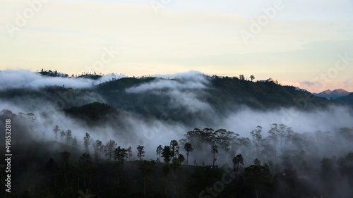 mist in the mountains © hirunika