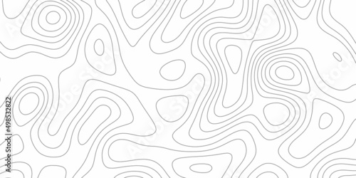 topographic map lines on white background imaginary landscape. Map on land vector terrain Illustration.