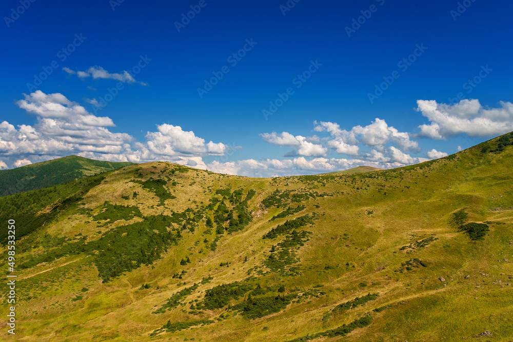 Top of the mountain range, Carpathians, Ukraine. summer day