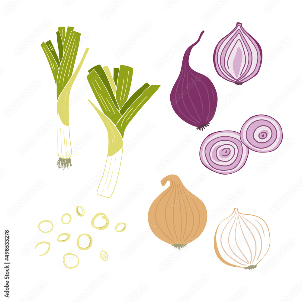 Set of hand drawn onion Set of hand drawn onion