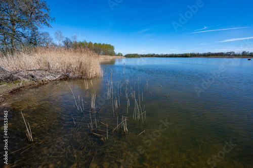 Paysage des étangs de La Dombes dans le département de l'Ain en France au printemps