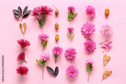 Composition with chrysanthemums, maple seeds and acorns on pink background