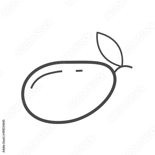 Vector linear icon with mango