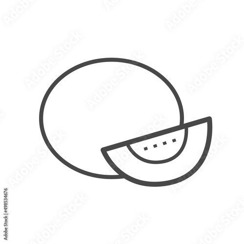 Vector linear icon with melon