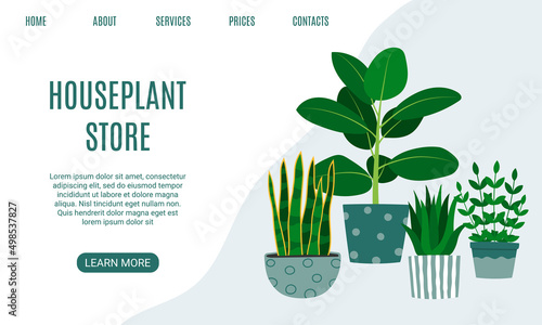 Houseplant store landing page. Rubber plant, aloe and snake plant. Florarium, home garden, greenhouse, gardening, potted plant concept.