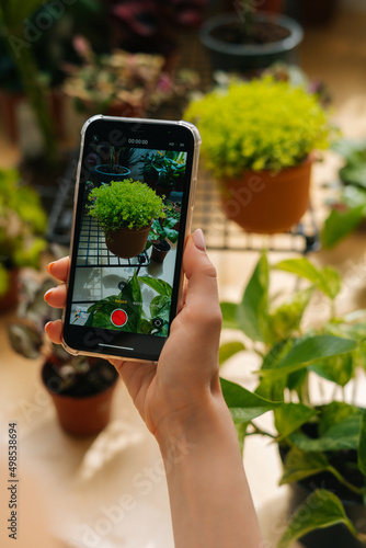 Close-up vertical shot of unrecognizable female blogger taking pictures of plants in floral shop using smartphone camera. Woman taking photos or video of beautiful green houseplants in pots.