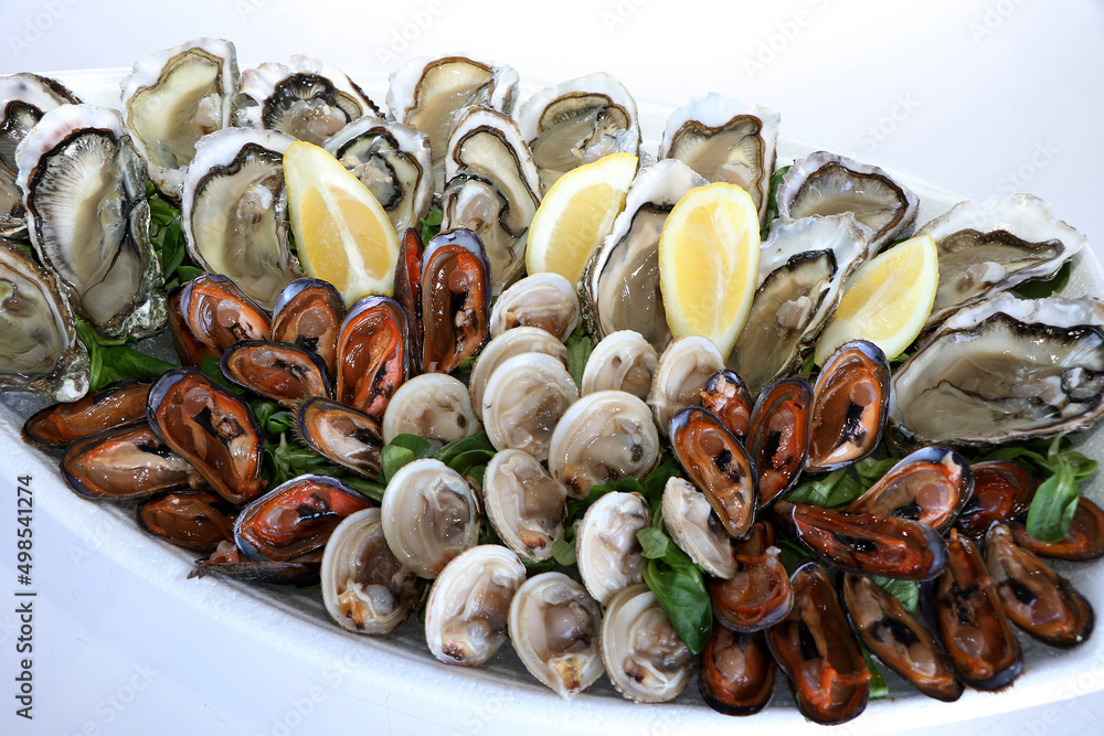 Fotografia do Stock Fresh seafood platter. Venus verrucosa, oysters