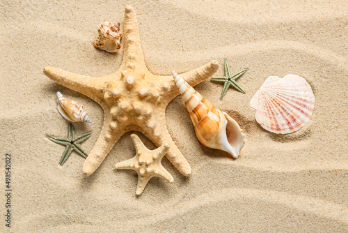 Starfishes and different sea shells on beach sand