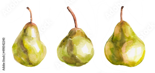 Pears illustration isolated. Green pear on white background. Pear with clipping path. Set of pears.