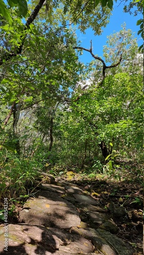 Waterfalls and landscapes in Pirenópolis