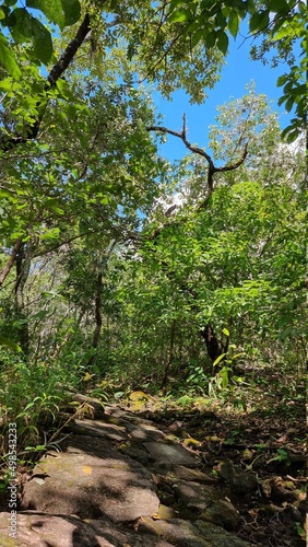 Waterfalls and landscapes in Pirenópolis