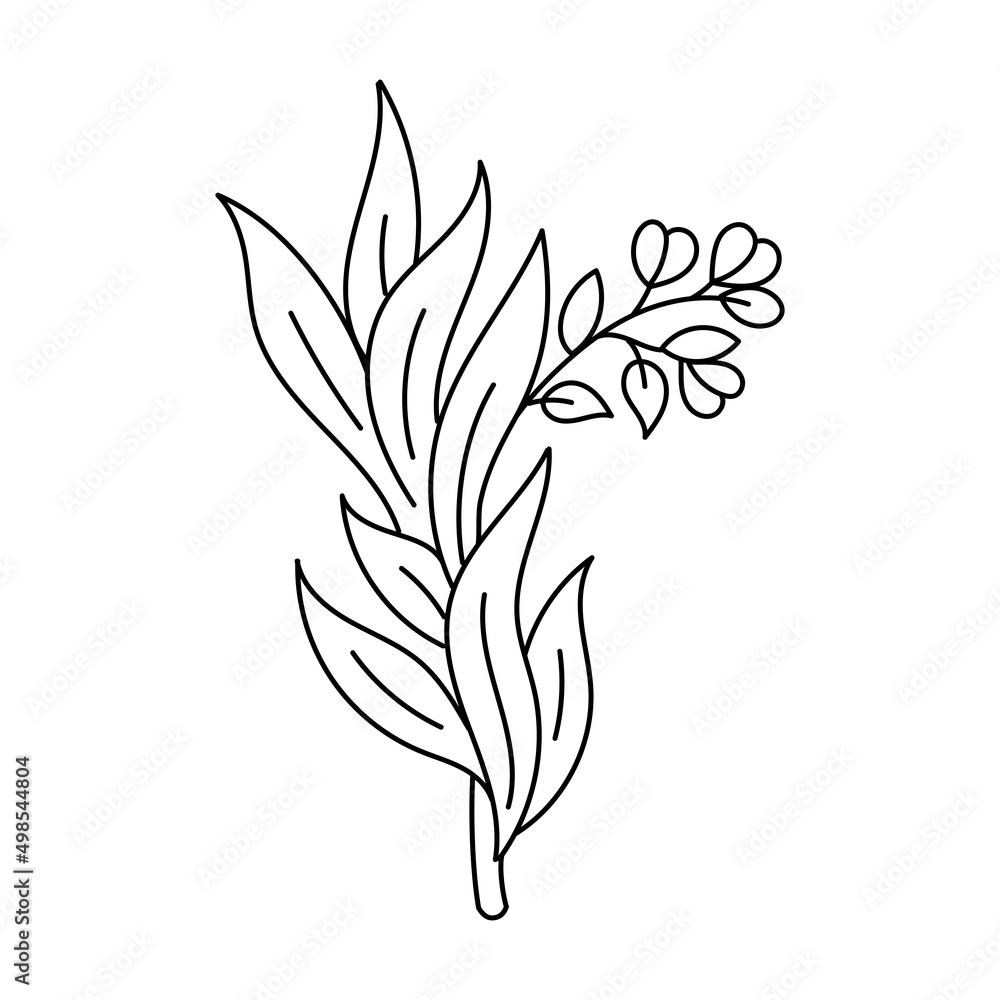 Fototapeta premium Tarragon spices. Cooking ingredient. Line icon. Editable stroke size. Open paths. Vector sketch illustration.